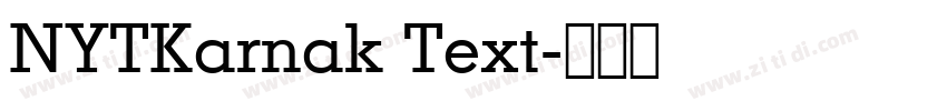NYTKarnak Text字体转换